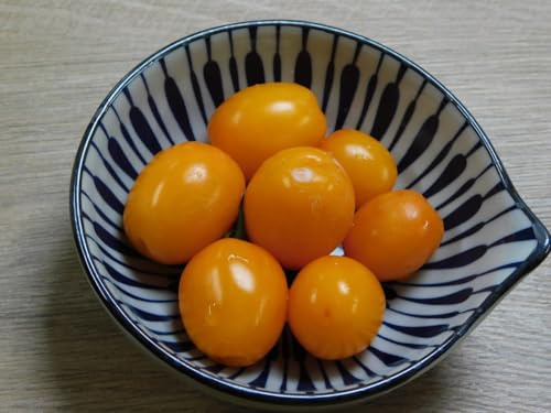 TOMATE SAN MARZANO ISA 5+ Samen - dänische samenfeste Sorte P 574