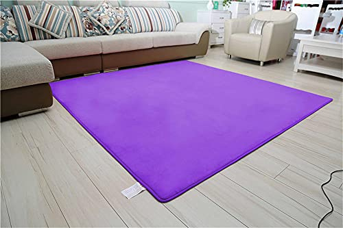 Alfombra de Terciopelo Coral Grueso de Color sólido Calidad Sofá morado Suave Lavable Antideslizante Grande Rugs Rug Minimalista Moderna Sala De Estar Dormitorio Tatami Gateando Estera -120×140cm