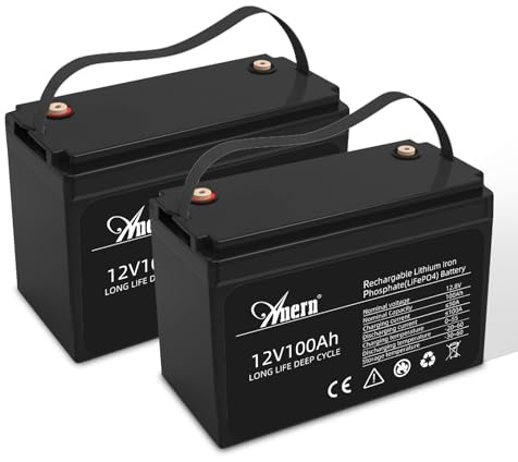 Anern Batteria Litio 12V 100Ah, Batteria Lifepo4 1280Wh con BMS 100A Fino a 15000 Cicli perfetto per il campeggio, l'accumulo di energia domestica solare, RV, Off-Grid (2P)