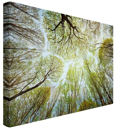 micasia Akustikbild Wald Bäume Natur Schallschutzbild 4cm Keilrahmen & Schallabsorber - Baum Modern grün Wohnzimmer Schlafzimmer Bild für bessere Raumakustik 1701 (120x80cm)