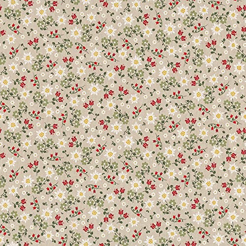 Hans-Textil-Shop Canvas Panama Stoff Meterware – Baumwolle Mischgewebe, 145–150 cm, 190–220 g/m², verschiedene Muster, für Kissen, Vorhänge, Tischdecke, Taschen, Deko (Alpenwiese Edelweiss)