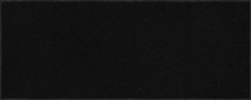 Salonloewe Fussmatte Schwarz I Schmutzfangmatte & Fußabtreter für Innen 40 x 100 cm