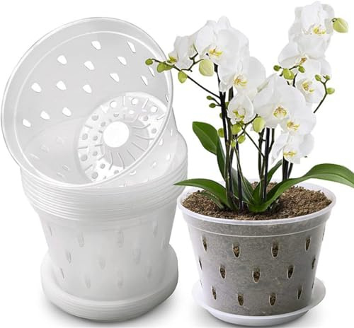Youning Orchideentopf Transparent 6 Stück Kunststoff Orchideentöpfe Klare Orchidee Pflanztöpfe mit Drainageloch Atmungsaktiver Orchideen Blumentopf Übertöpfe für Pflanzen und Umtopfen (15cm+Tablett)