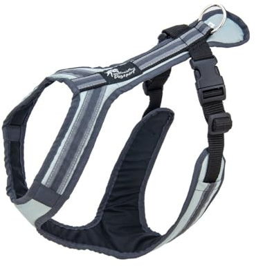 Safety Führ- und Zuggeschirr | Mantrailing | Canicross | Zughundesport | Alltagsgeschirr | Führgeschirr (Grau-Anthrazit, SM - 18-22 Kg)