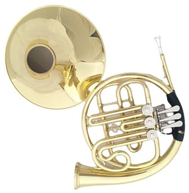 Doppeltes Waldhorn Dreistimmiges Einreihiges Waldhorninstrument In B Dur Für Professionelle Aufführung