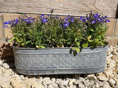 Galvanised Zinc Floral Metal Planter | Garden Flower Pots Trough Set of 3