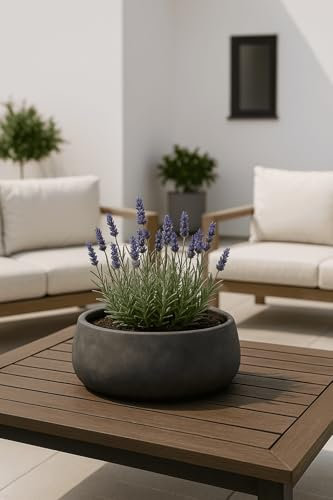 Finestgreen Eileen Pflanzschale Schwarz M | Blumenschale für Innen- und Außenbereich, Frostfest, UV-Beständig, wasserdicht