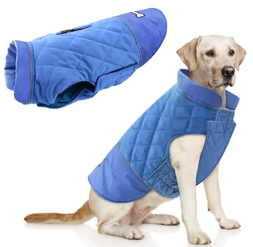 Idepet Abrigo para Perro A Prueba De Viento Chaqueta Cálida De Invierno, Ropa para Perros con Traje De Nieve Anti-Nieve para Perros Pequeños Medianos Grandes con Agujero De Arnés (Azul, Medium)