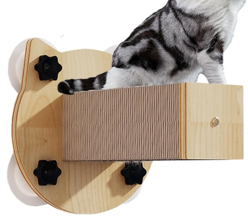 Cat Kletterwand, Kletterwand für Katzenregale | 4 schwere Katzenkletterer mit Saugnapf | Anti-Rutsch-Streifen von Schadstoffen | Katzen-Fensterregal für Katzen im Innenbereich