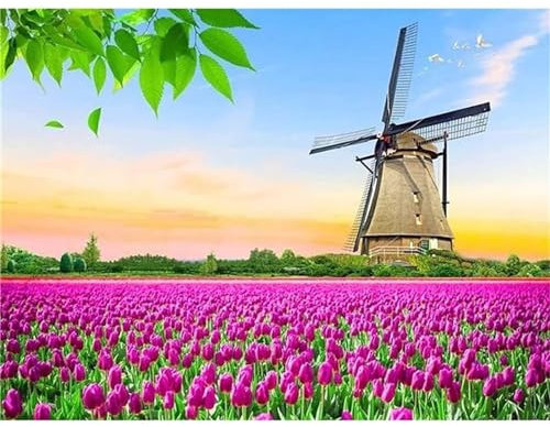 Diamond Painting Tulpen-Windmühle, 5D Diamond Painting Erwachsene Kinder mit Diamond Painting Zubehör, Diamond-Painting bilder Square Full Drill Set mädchen Geschenk für Home Wall Décor 30x40cm B82