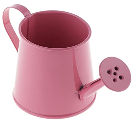 Fenteer Eisen Gießkanne Wasserkanne Blumengießer Blumenkanne Dekokanne für Pflanzen, Rosa