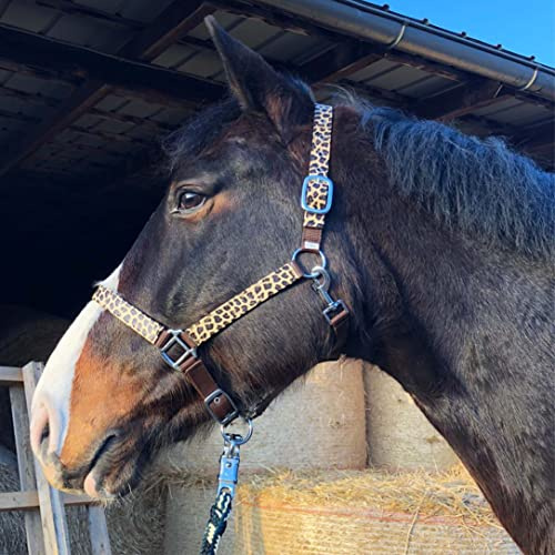 Halfter für Pferde Pferdehalfter stylischer Leopard Look, 2-Fach verstellbare Dornschnallen, Shetty, Pony, Cob, Warmblut (Warmblut (Full), Leopard)