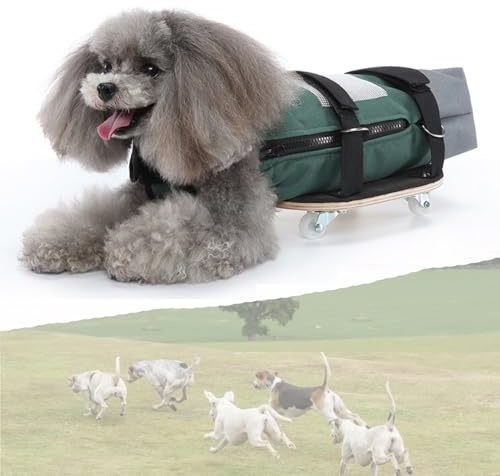 Generisch Verstellbarer Rollstuhl für kleine Hunde mit Behinderungen an den Hinterbeinen, 4-Rad-Mobilitätsroller mit Schlepptasche, Gehhilfe für Haustiere und Hundefahrradanhänger für kleine Rassen