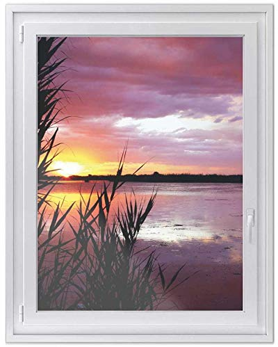 Fensterdeko I Sichtschutz Fenster-Sticker Selbsthaftend I Dekofolie für Bad, Küche, Kinderzimmer - Wasserfest, Beständig, Lichtdurchlässig - Made in Germany