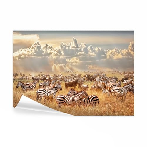 decomonkey Premium Fototapete Afrika, 350x256 cm, XL, Savanne Tiere, Vlies | Landschaft, Schlafzimmer, Wohnzimmer, Tapete, Fototapeten, Tapeten, Vliestapete, Wandtapete, moderne, Wandbild, Wand