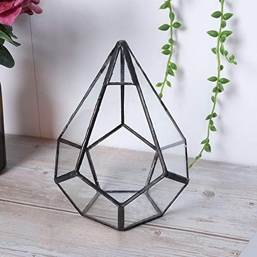 Akozon Geometrisches Sukkulenten-Terrarium aus Glas – Mini-Gewächshaus-Blumentopf für Mikrolandschaften – 12 X 12 X 14 cm – für Heim- und Bürodekoration