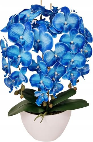 Künstliche Orchidee blau – 3 Triebe & 10 Gummiblüten – wie echt – 60 cm – täuschend echte Kunstpflanze in eleganter weißer Schale – Deko für Wohnzimmer, Büro, Geschenk