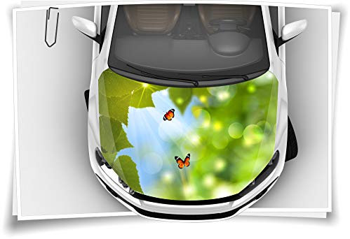 Medianlux Natur Schmetterling Grün Motorhaube Auto-Aufkleber Steinschlag-Schutz-Folie Airbrush Tuning Car-Wrapping Luftkanalfolie Digitaldruck Folierung