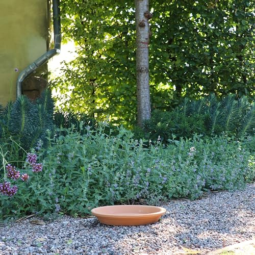 Palatina Keramik hochwertige runde Untersetzer aus Terracotta, 40 cm Durchmesser, Unterteller perfekt für Blumentöpfe und Pflanzgefäße