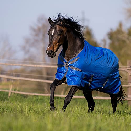 Outdoordecke WINDCHILL 100