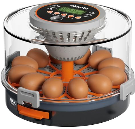 Incubadora automática Okköbi para huevos – Incubadora 12 huevos gallina – Control inteligente de temperatura y humedad – volteo automático – lámpara para observar huevos