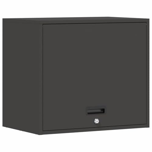 Tomostar Armoire Murale de Rangement Garage, Armoire Suspendue à Outils en Métal pour Atelier Garage Noir 60x40x53 cm