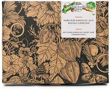 Cerfeuil tubereux & Chicorée - kit cadeau de semences pour la culture associée avec 3 plantes compagnes pour le potager