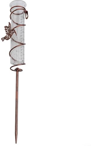Charmant colibri jardin pluviomètre mesure précise des précipitations