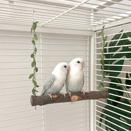 ZYYRSS Vogelschaukel Papageienschaukel – Natürliches Holz Papageienkäfig Spielzeug für Sittiche, Nymphensittiche, Sittiche, Sittiche, Sittiche, Sittiche, Unzertrennliche, Kanarienvögel, afrikanische