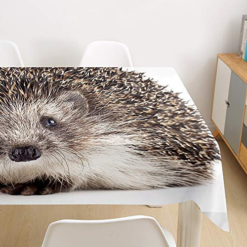 Morbuy Tischdecke Abwaschbar, 3D Tierdruck Tischtuch Rechteckig Tischwäsche Gartentischdecke Outdoor Tischdekoration Wasserdicht Polyester Ölfest Pflegeleicht (140x180cm,Igel)