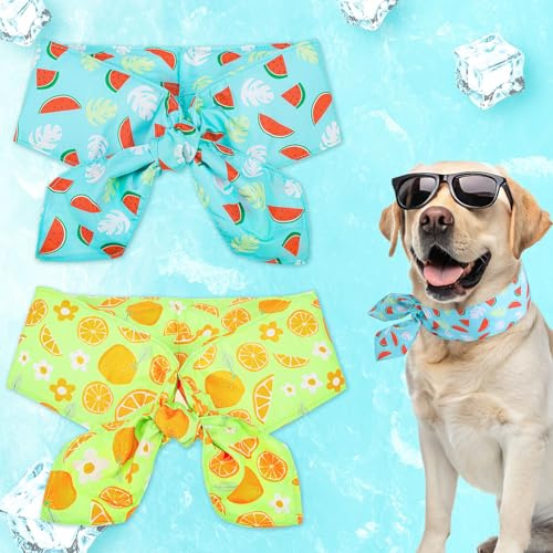 EXPAWLORER Dog Cooling Bandana 2 Pack - Instant Chill Out Pet Collar with Ice Bags, Summer Hot Weather Outdoor Cool Down Scarf Neck Cooler, Prevent Heat Stroke for Small Medium Large Breeds, Blue S