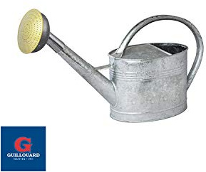 Arrosoir 6L – Acier galvanisé à Chaud – avec Pomme métal Grille Laiton – Robuste et léger – Grande Anse Ergonomique – Idéal Jardin, Potager, Fleurs et Balcon - 020142