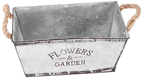 BESPORTBLE Blumeneimer Aus Eisenblech Blumeneimer Mit Griff Aufbewahrungseimer Für Blumen Trockenblumen Pflanzen Silber Kleine