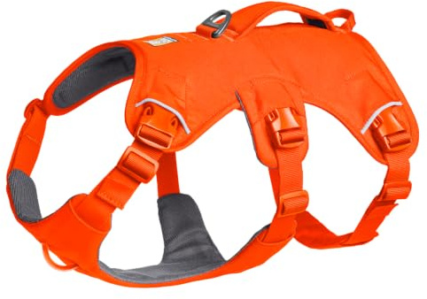 Ruffwear Web Master Hundegeschirr, Y-Front-Hundegeschirr mit Griff und verbesserter Schnalle, verstellbar und leicht für Spaziergänge und Wanderungen, fluchtsicher, kein Ziehen, Blaze Orange, XX-Small