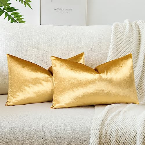 JOTOM Set med 2 sammets mjuka solida kuddöverdrag 30 x 50 cm dekorativa kuddöverdrag mjuk ländrygg kudde fodral soffa heminredning prydnadskudde fodral för soffa sovrum 30 x 50 tum (guld)