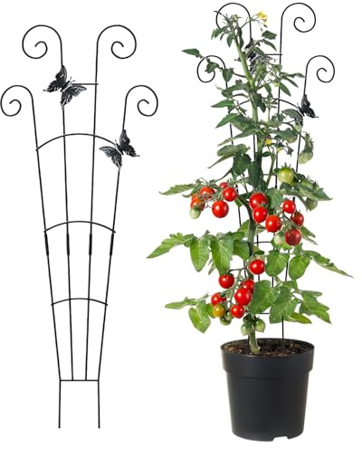 Naqqios Piquets pour plantes d'intérieur - En métal, robuste, résistant aux intempéries - Plantes en pot, piquets d'escalade pour bonsaï, tomate, poivre, orchidée, lierre, rebord de fenêtre, cour