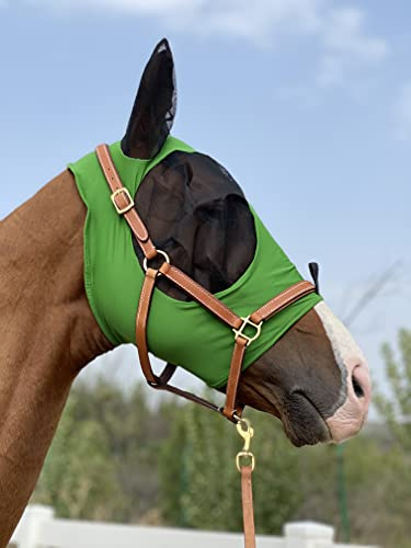 TGW RIDING Hästflugmask superkomfort hästflugmask elastisk flugmask med öron (M, jägargrön)