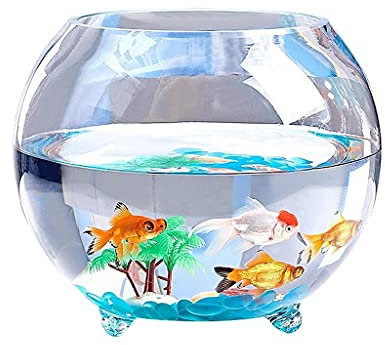 luckxuan Aquarium Glas Runde verdickte Fischbehälter mit Füße Desktop Desktop Kleine Goldfisch Schildkröte Tankball Hydroponische Pflanze Fischtank Aquarien (Size : 11.81IN)