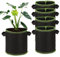 Dogrundi Lot de 5 Sac de Plantation Non Tissé, Sacs de Culture Pomme de Terre, Pot Geotextile, Pots pour Plantes avec Poignées, pour Fleurs,Fruits et Plantes,Tomates,Légumes, 3 Gallons, Réutilisable