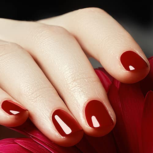 Cobee Einfarbige Press On Nägel, 24 Teiliges Quadratisches Kunstnägel Set Kurze FalscheNägel Wiederverwendbar Vollständige Abdeckung Gelee Kleber Und Nagelfeile für Frauen Nagelkunst Weihnachten(Rot)