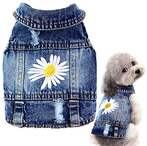 Pawstrip Dog Denim Jacket with Embroidered Daisy, Ripped Vintage Jean Vest for Small Dogs, Puppy, Pugs, Chihuahuas, Spring Summer Fall Festival Outfit, Medium (Fits Chest 13-14)