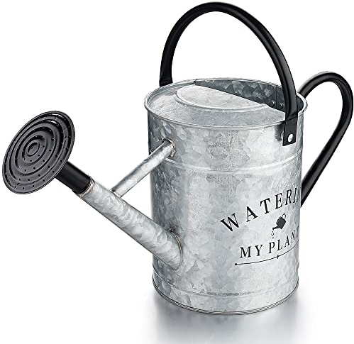 Garutom Regadera galvanizada para Plantas al Aire Libre, regadera Decorativa de 1 galón con Boquilla extraíble, regadera de Metal Plantas de Interior y Flores de jardín