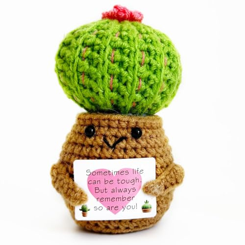 Emotionale Unterstützung, Häkeln, positive Geschenke, positive Kaktus-Geburtstagsgeschenke oder Frauen, Weihnachten, Heim-Desktop-Dekoration
