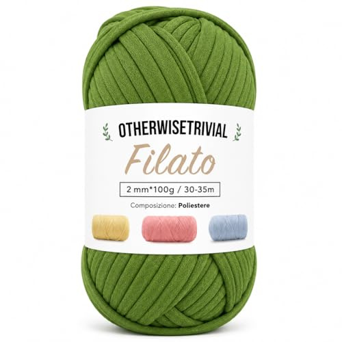 Filato Fettuccia in Poliestere, 100g, per Borse, Uncinetto e Decorazioni, Disponibile in Vari Colori (661 PISTACCHIO)