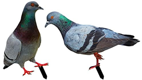 BESTonZON 2stücke Dekorative Gartenstecker Mit Pigeon-Design Doppelseitige Uv-beständige -gartenbeschilderung Für Außenbereich Für Garten-Dekoration