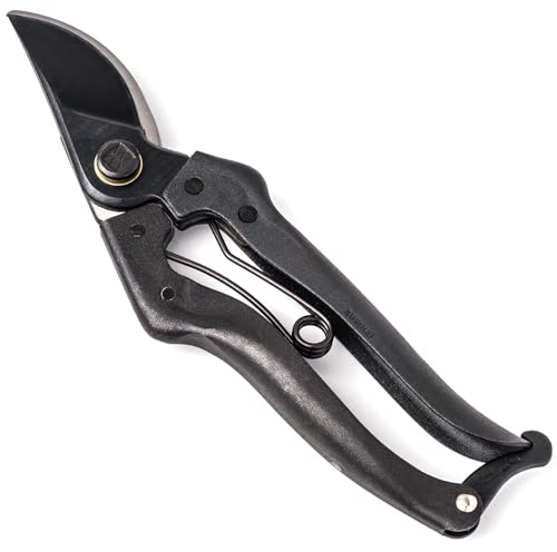 Wablade Japanese-Made Bypass Pruning Shears, Hand Pruner for Live Branches & Stems up to 0.59 Inch, Precision Garden Tool for Gardening, Bonsai, Flowers & Plants (Standard Model)
