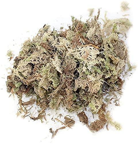 Yeehliny Sphagnum Moos Naturfaser für Bonsai, Orchideen,Pflanzen, 12L | Substrat Getrocknet, Natürliches Torfmoos, Wassermoos Trockenmoos, Wasser Gras Substrat, Orchideensubstrat, orchideenerde