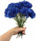 Aachondra 100pcs semillas de flores de clavel Azul