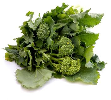 Viridis Hortus - Broccoli Raab (Cime di rapa) - 1,000 (1.34g's) Vegetable Seeds - Broccoli Rapini