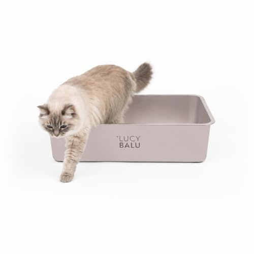 LucyBalu® STEELOO XXL Katzenklo aus Edelstahl offen – Greige | Extra große offene Edelstahl-Katzentoilette, hygienisch, langlebig, runde Ecken, leicht zu reinigen